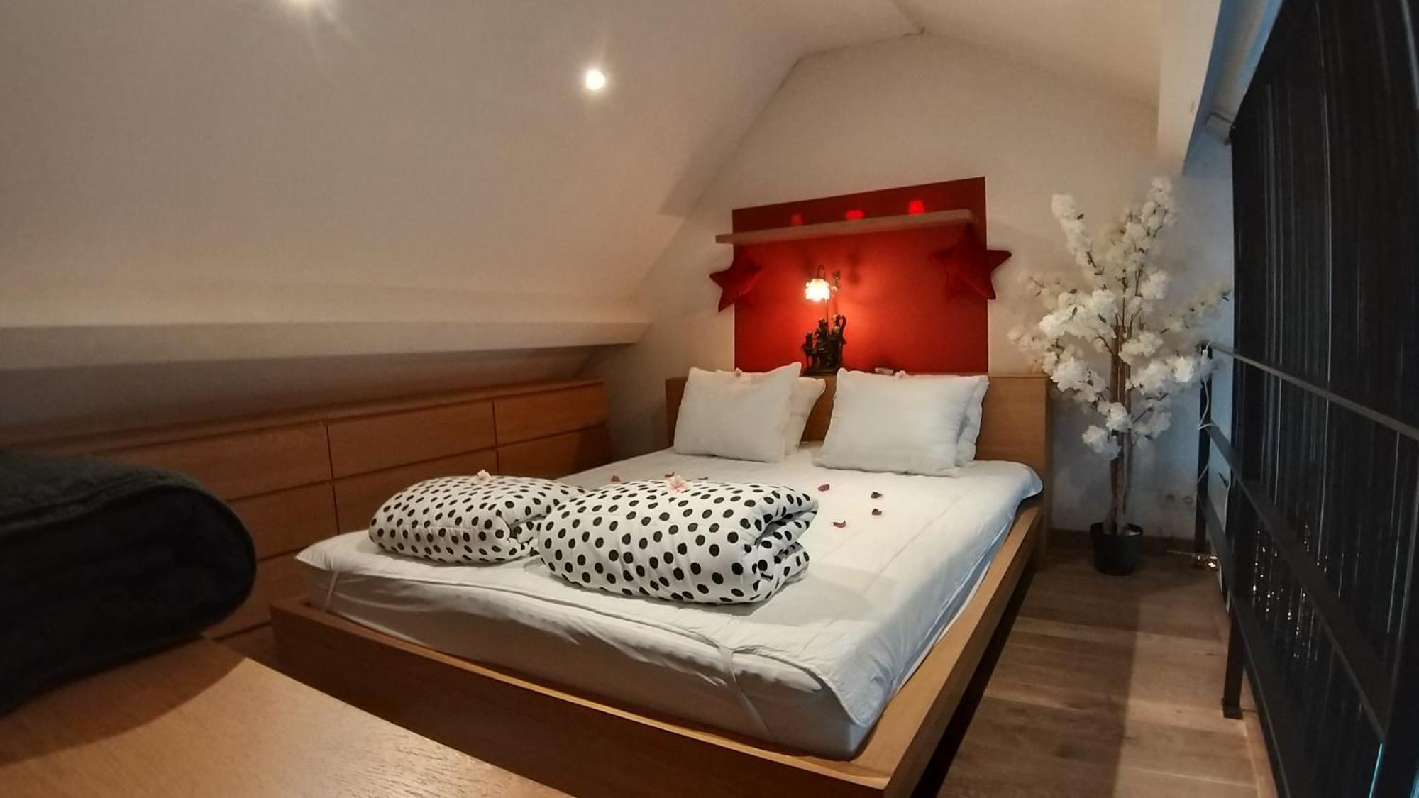 Wellness Loft With Sauna, Jacuzzi, Roof Terrace & Amazing View Lejlighed Antwerpen Eksteriør billede