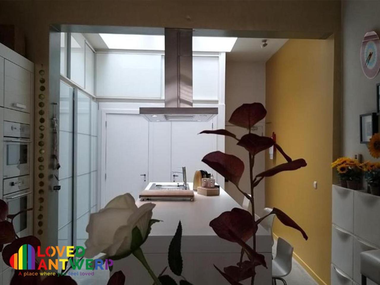 Wellness Loft With Sauna, Jacuzzi, Roof Terrace & Amazing View Lejlighed Antwerpen Eksteriør billede