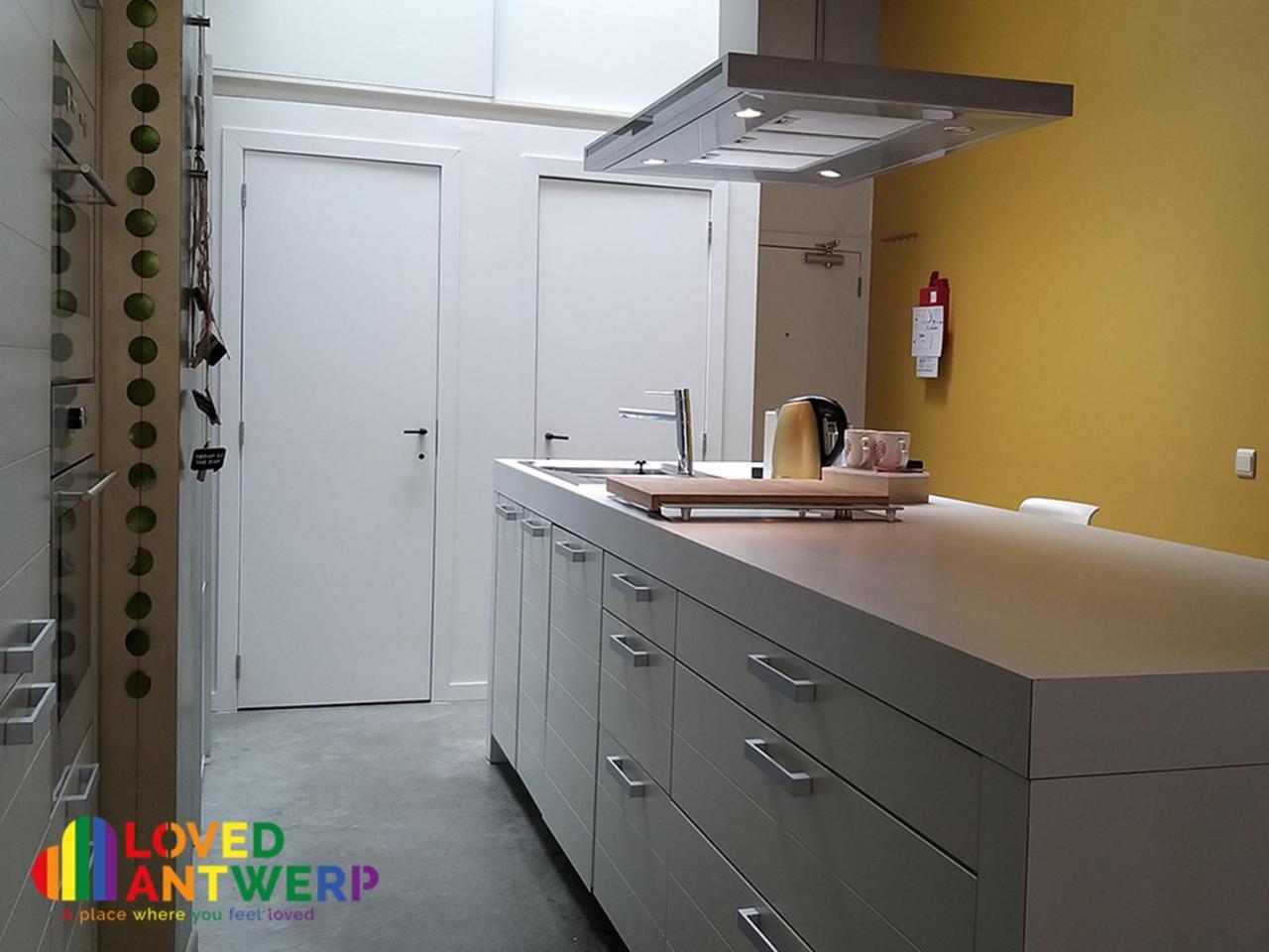 Wellness Loft With Sauna, Jacuzzi, Roof Terrace & Amazing View Lejlighed Antwerpen Eksteriør billede